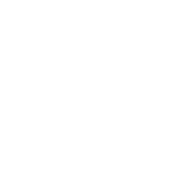 CZN Burak